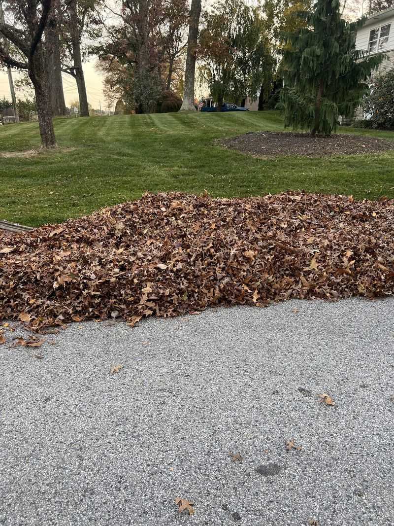 Clear Leaves And Debris To Prevent Soil Build-Up