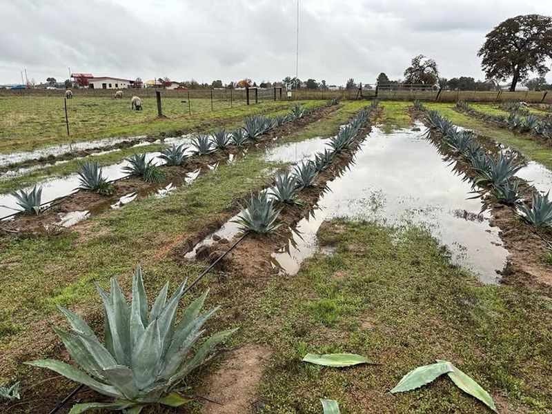 Protection From Spring Rains
