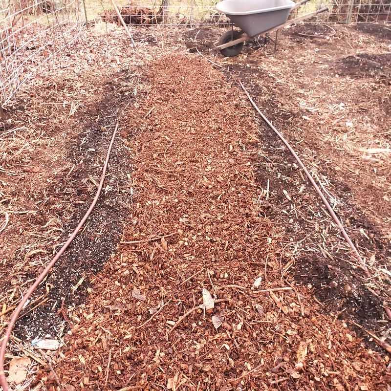 Fresh Wood Chips Mixed Into The Soil