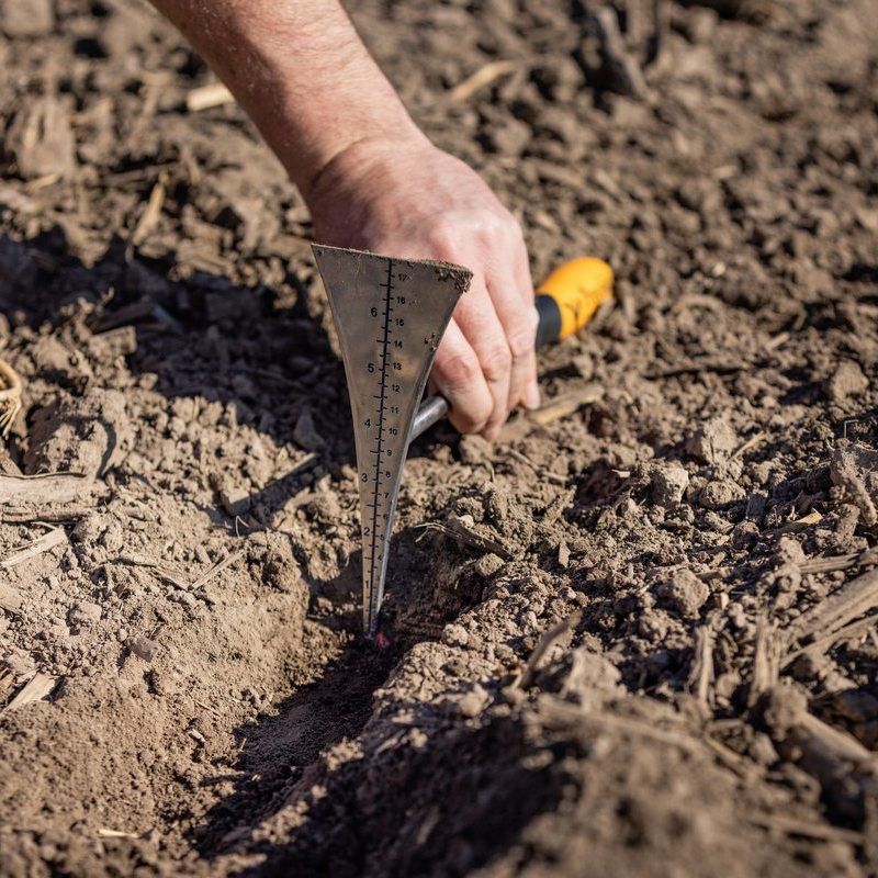 Planting Incorrectly From The Start