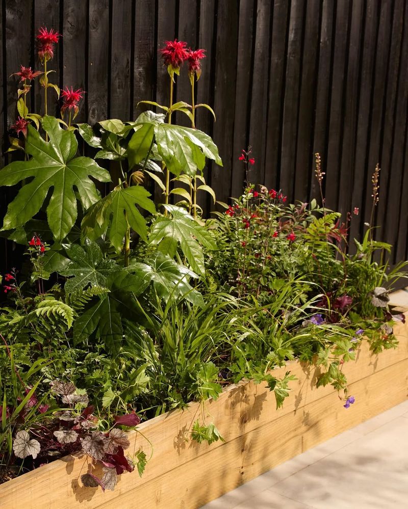 Pick A Spot With At Least 6 To 8 Hours Of Sun