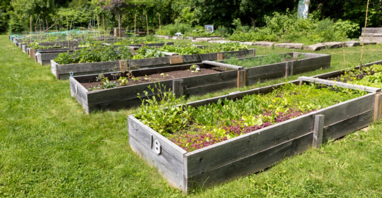 Raised Bed Tips For Ohio Gardens In April