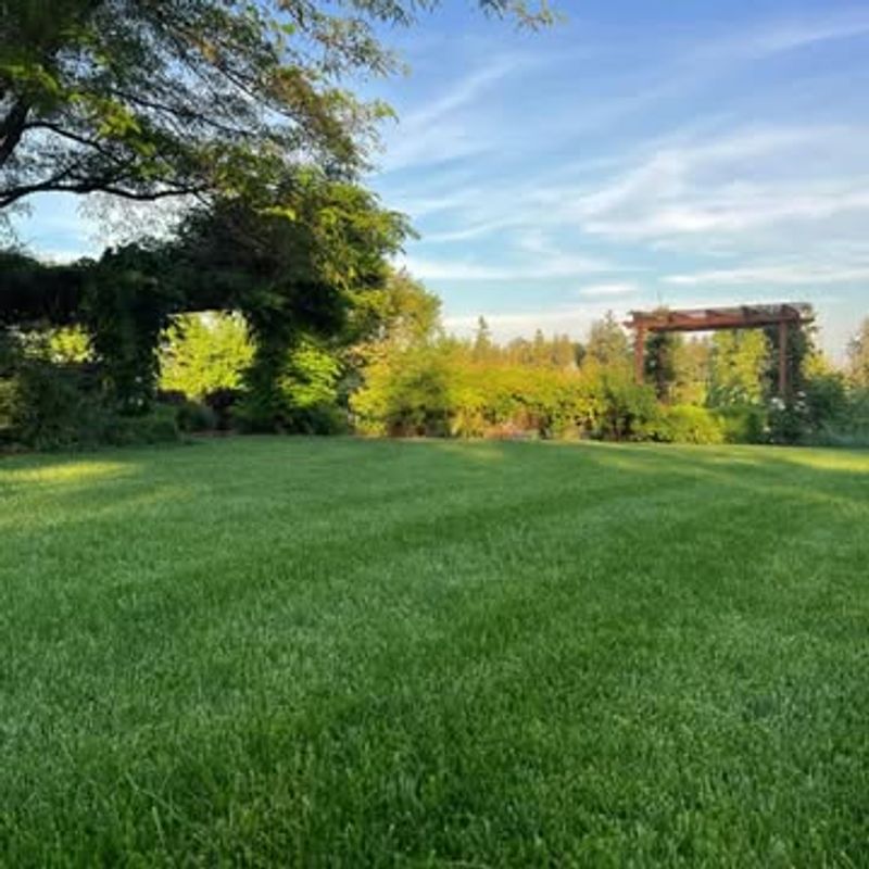 Taller Grass Helps Protect Roots From Stress