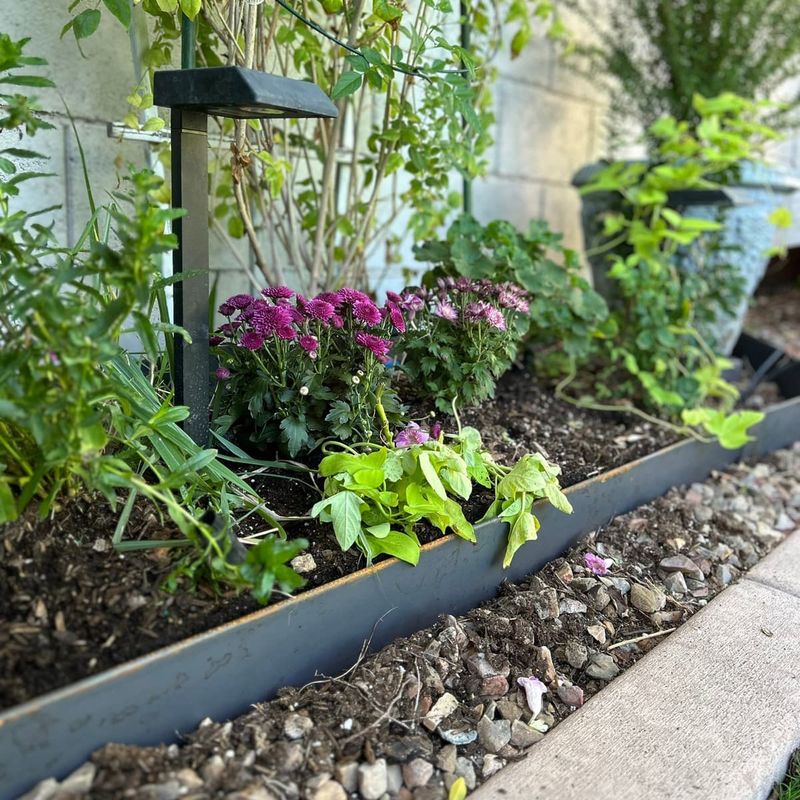 Metal Strip Edging Creates A Sleek, Low-Profile Border