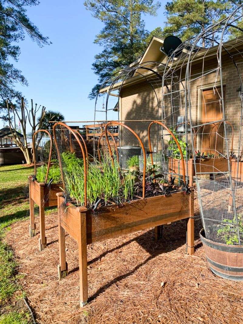 Use Physical Barriers In Garden Beds