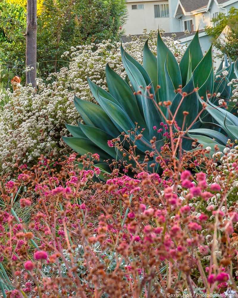 Mix Leaf Shapes And Plant Forms