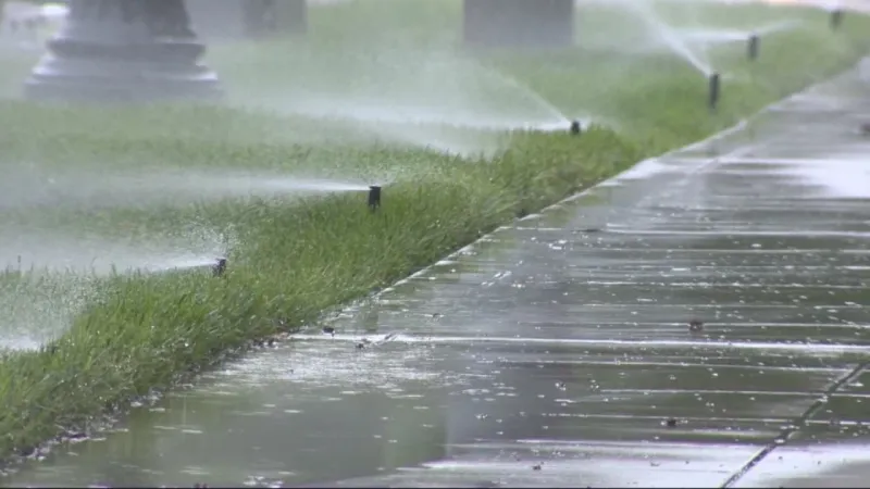 Ignoring Rainfall And Overwatering Anyway