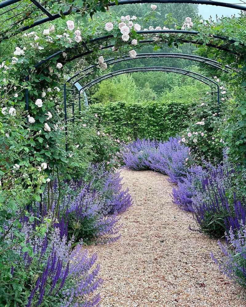 Use Mulch Lightly To Prevent Excess Moisture Around Roots