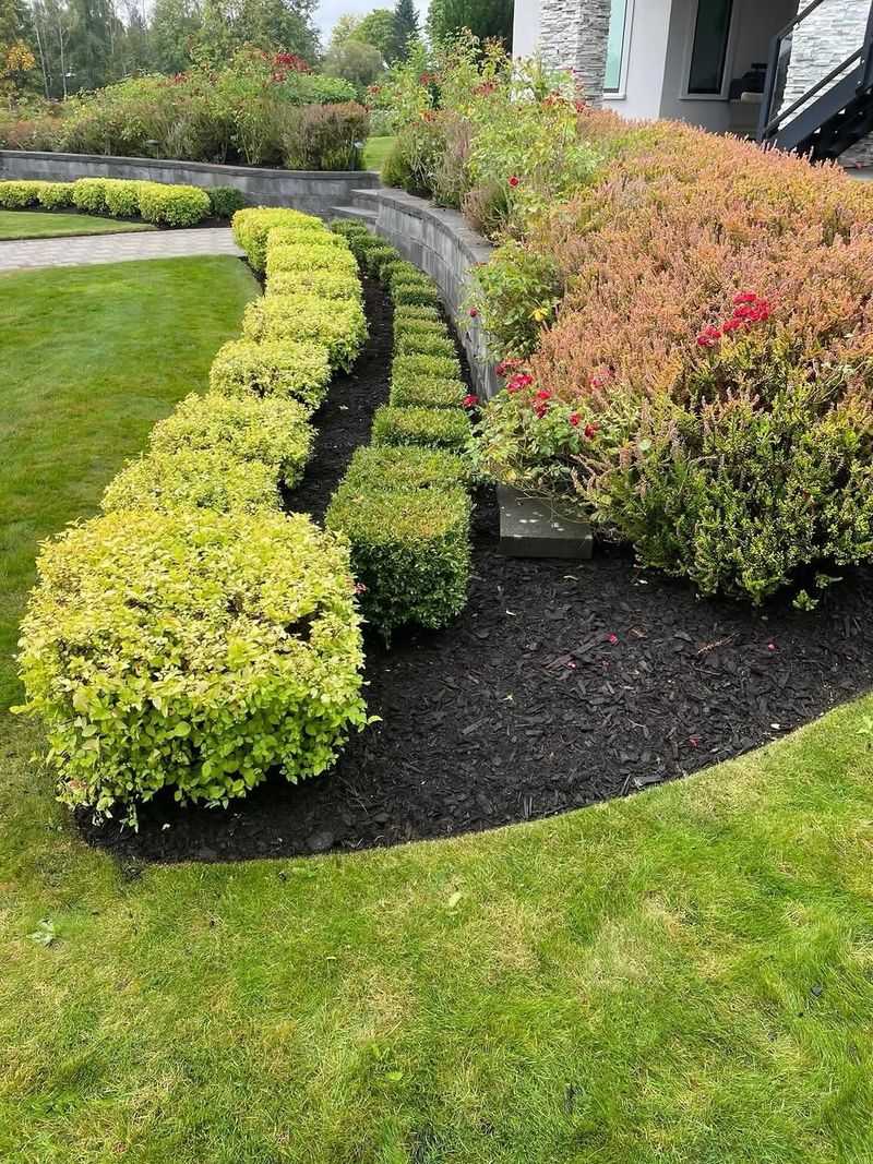 Keep Mulch Light And Pulled Back From The Base