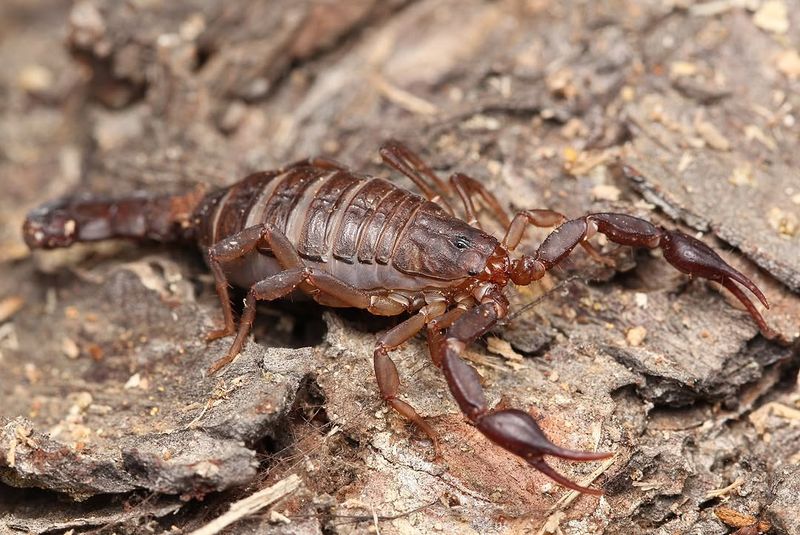 Seal Cracks And Gaps Around Garden Structures