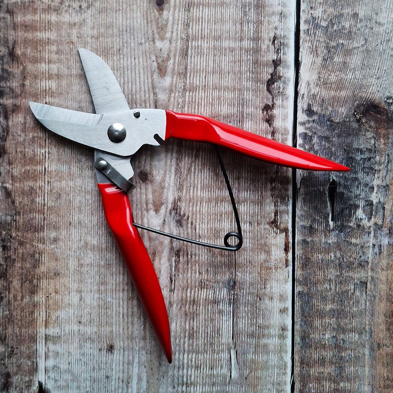 Sanitize Tools And Avoid Working With Wet Plants