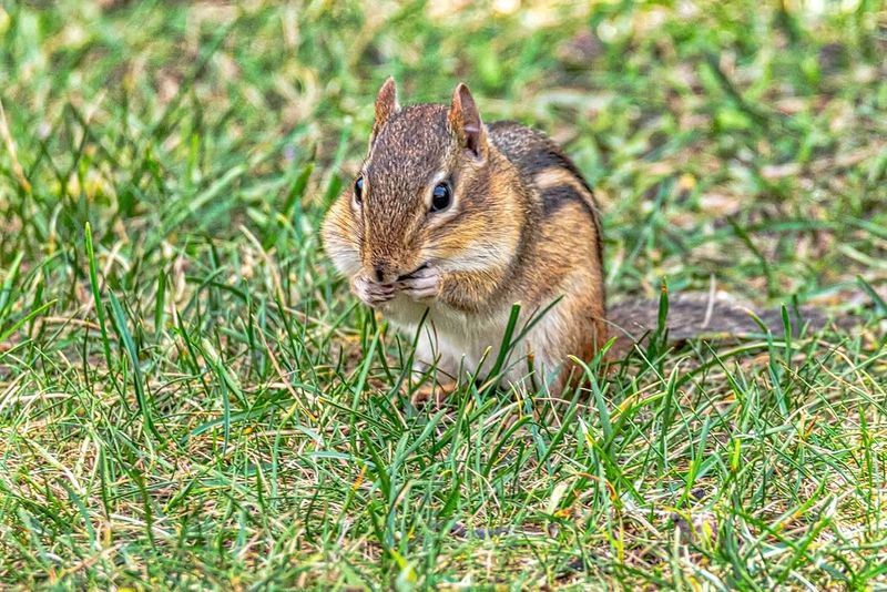 Close Openings Around Structures