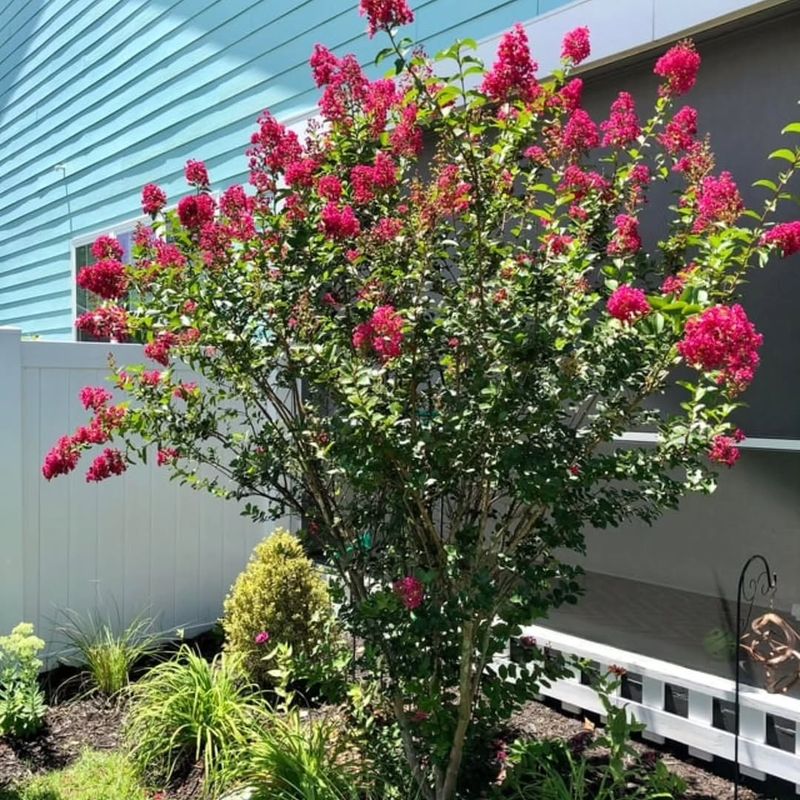 Do Not Overfertilize