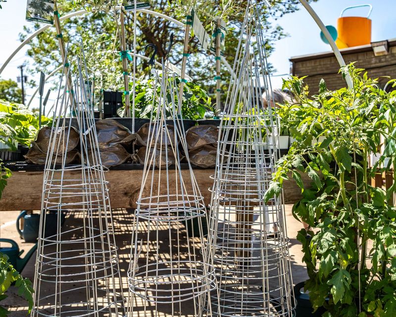 Support Vining And Heavy Crops