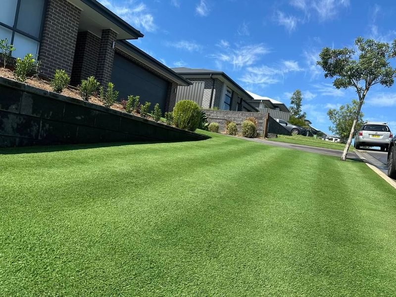 Over-Mowing Lawns And Eliminating Tall Grass