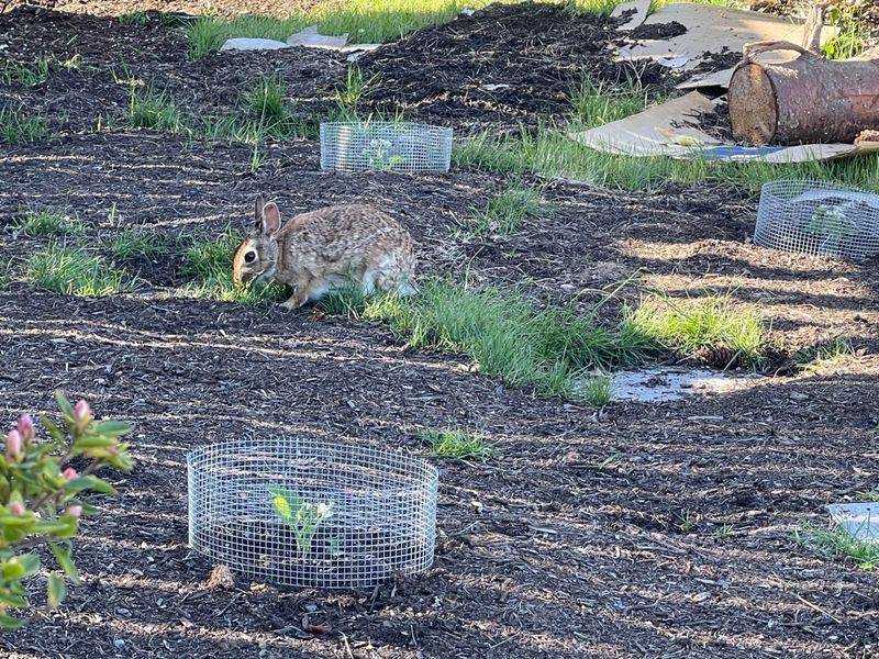 Smooth Edges With No Shredding