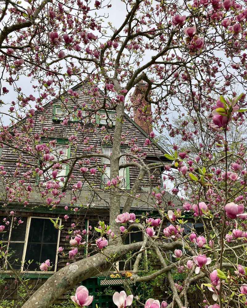 Location Strongly Affects Outcomes