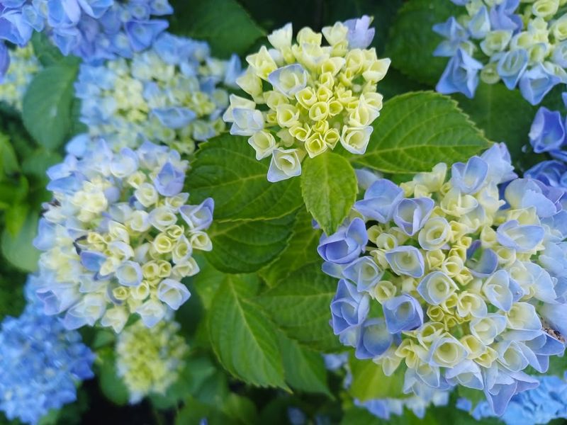 Location And Microclimate Make A Surprisingly Big Difference