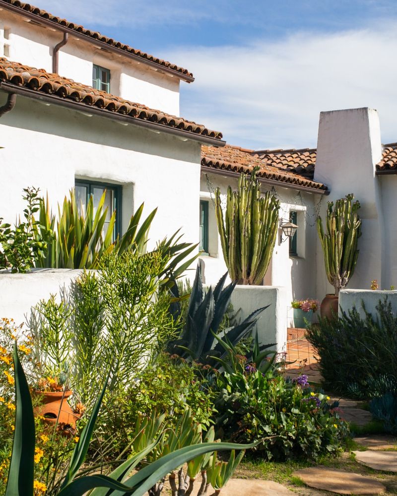 Deep Infrequent Watering Helps Prevent Salt From Building Up Again