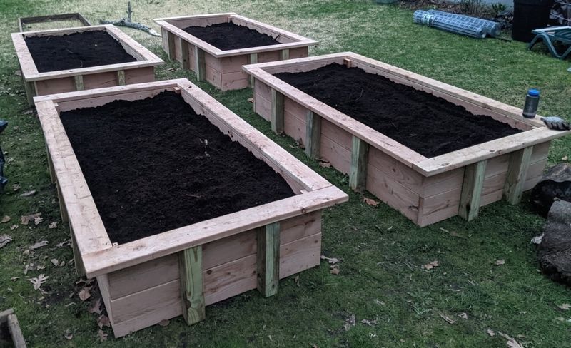 Deep Raised Beds Filled With Native Soil Or Fill Dirt