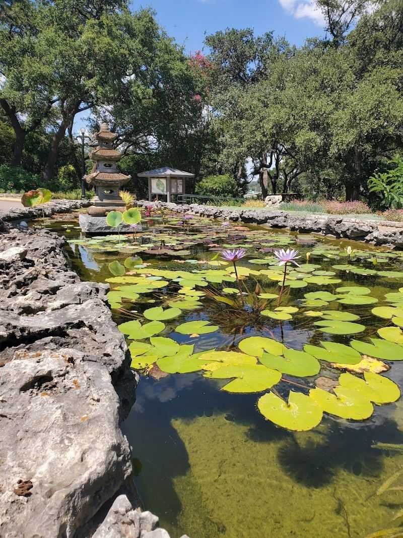 Zilker Botanical Garden