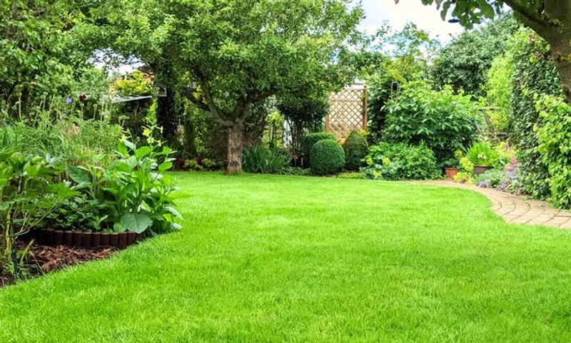 Time Savings Versus Hands-On Lawn Control