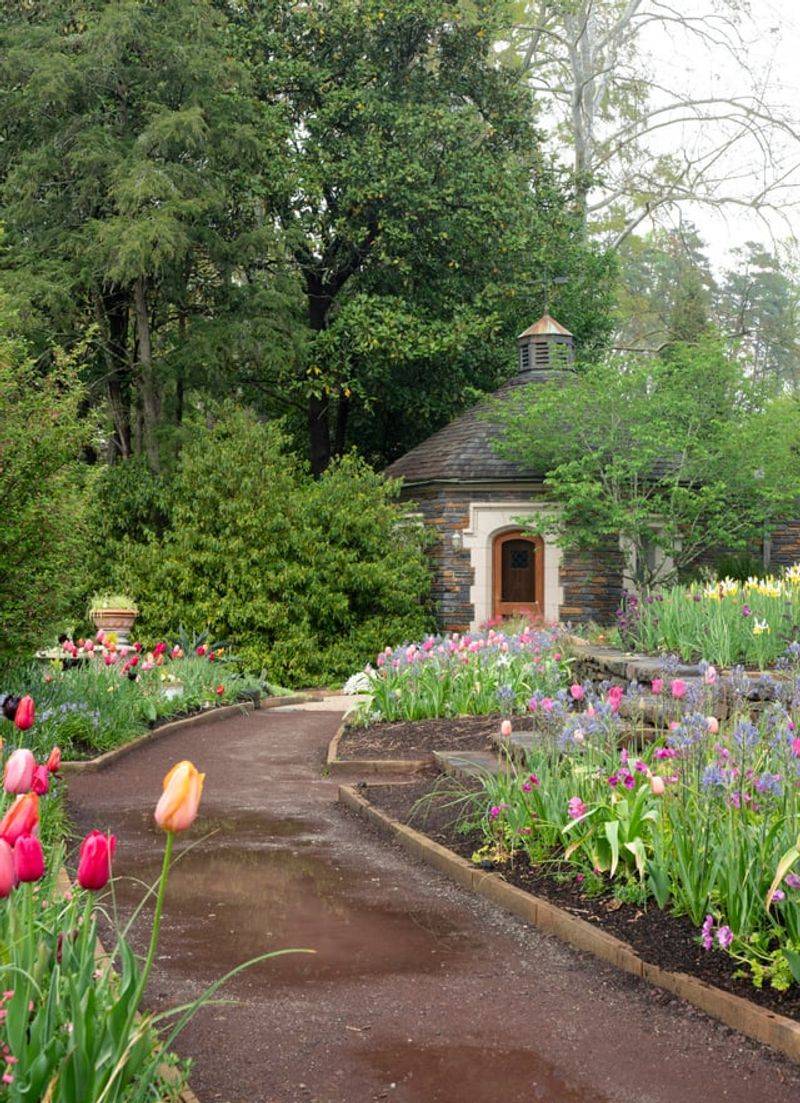 Leave Space For Plants To Reach Mature Size