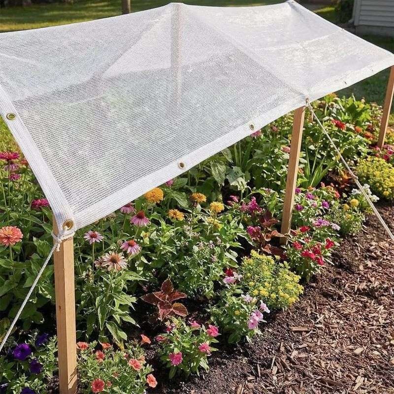 Use 30% To 40% Shade Cloth When Heat Builds