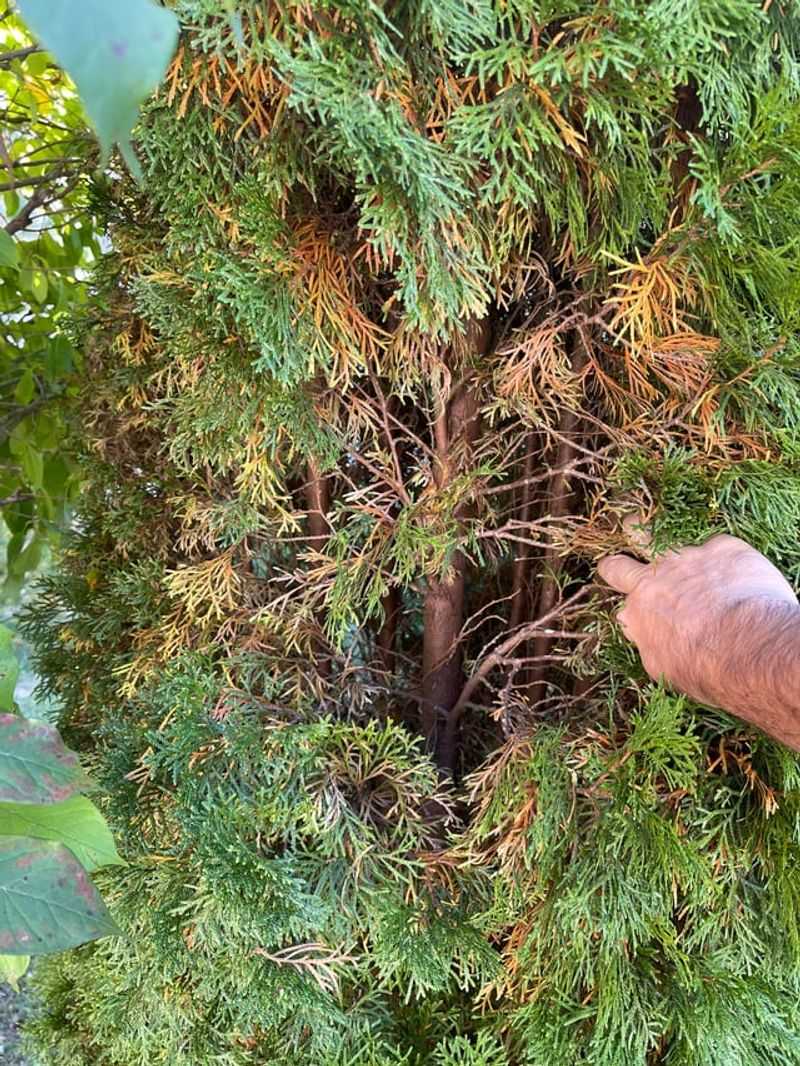 Spring Sun And Wind Increase Moisture Loss