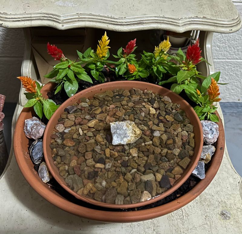 Large Plant Saucer With Pebbles For A Simple Backyard Fix