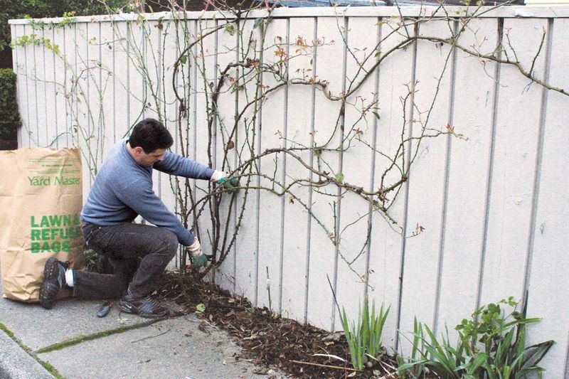 Don't Prune Climbers Too Early