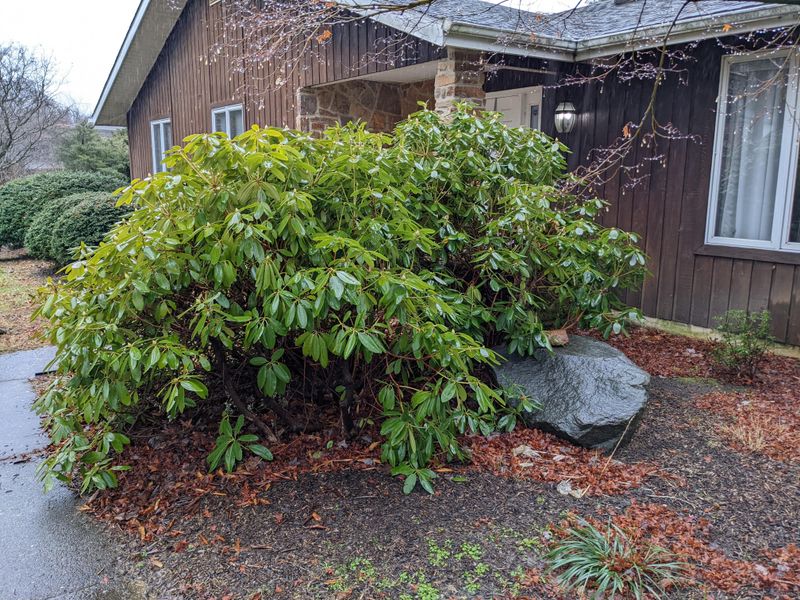 Spread Hard Pruning Over Time