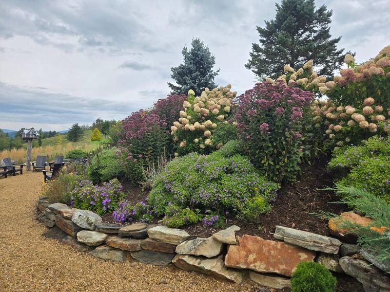 Layered Planting With Smaller Shrubs Reduces Crowding