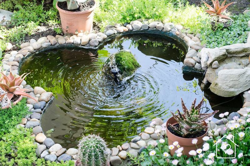 Small Backyard Ponds For Natural Backyard Action