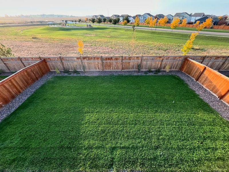 What Moderate Foot Traffic Does To Clover Growth