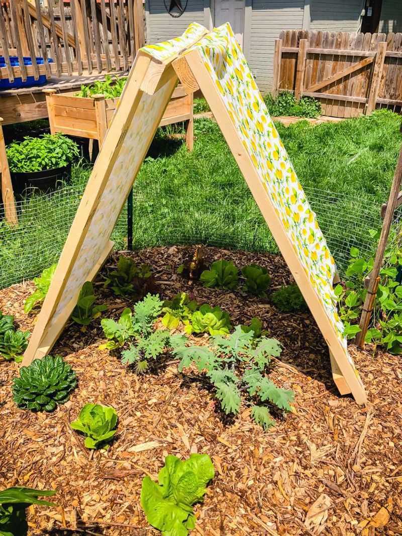 Shade The Most Vulnerable Plants During Harsh Heat