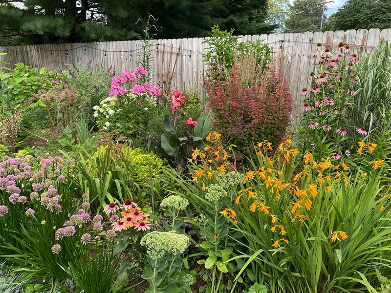 Leave Self Seeding Areas Uncovered For Now