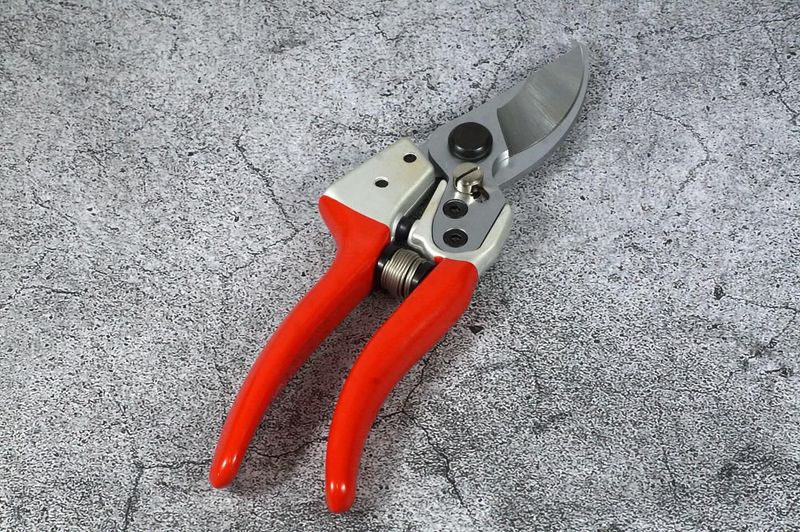 Sanitize Tools Before Moving Between Plants