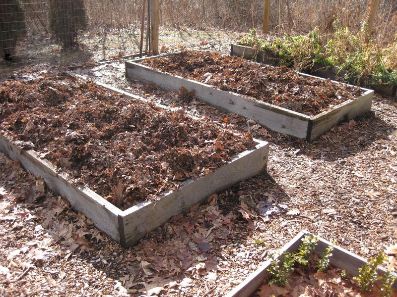 Letting Mulch Depth Deplete Over Time