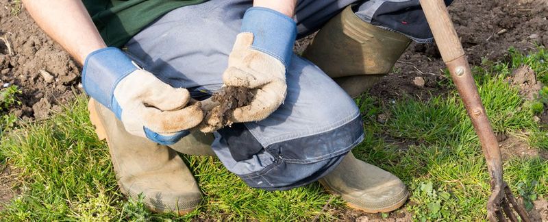 One Smart Check Now Can Pay Off Later