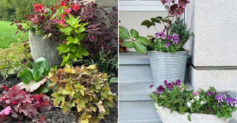 Smart Container Plants Oregon Patios Need Before Spring Weather Shifts Again
