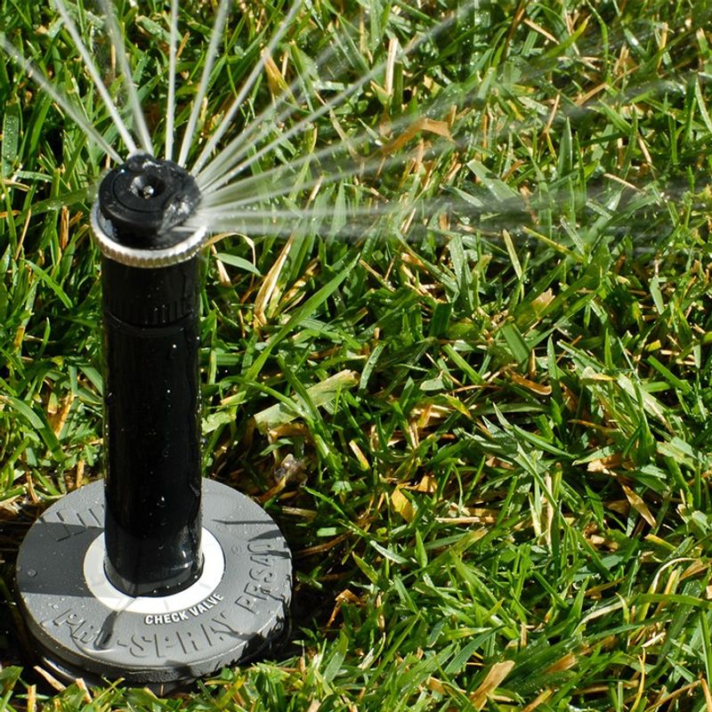 Watering Adjusts Automatically During Hot And Dry Conditions