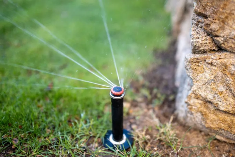 Irrigation Needs Change Quickly Before Heat Sets In