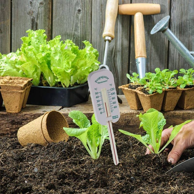 Soil Temperature Supports Seed Germination And Root Growth