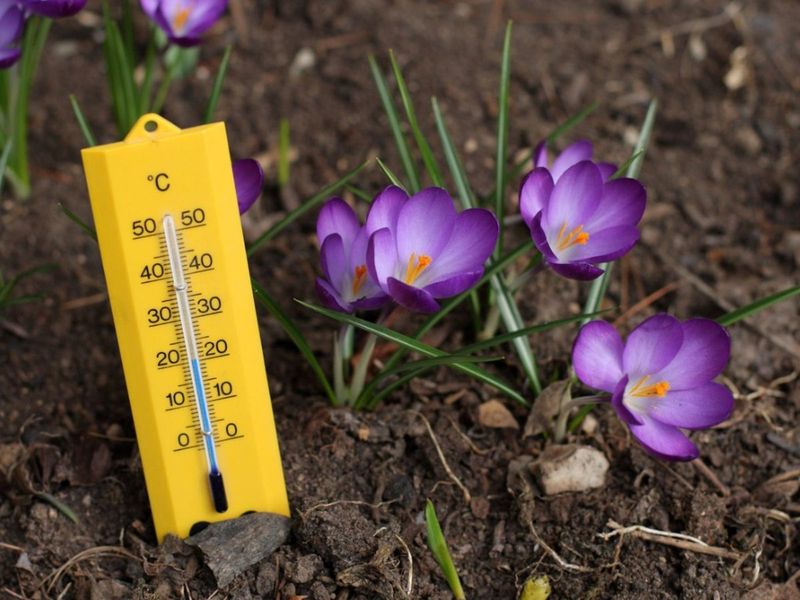Soil Temperatures Gradually Warm Across Georgia In April