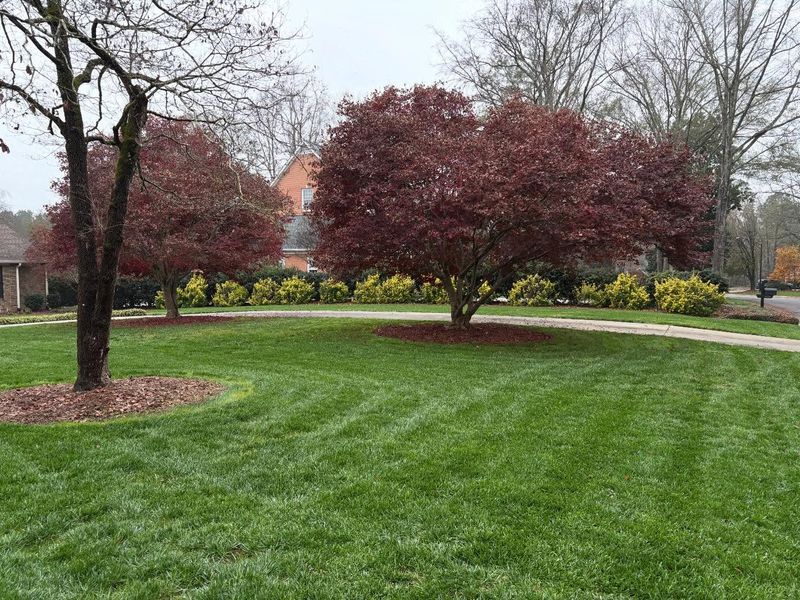 Slow Release Fertilizer Supports Steady Growth Without Surges