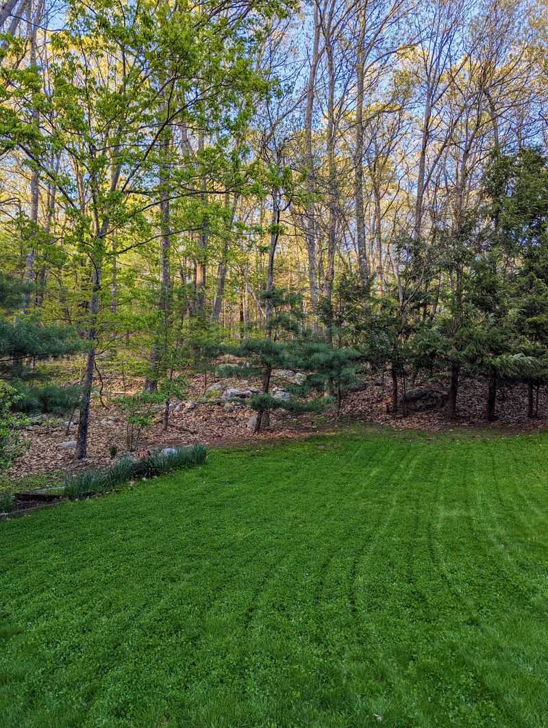 Lime Works Gradually And Does Not Change Soil Overnight