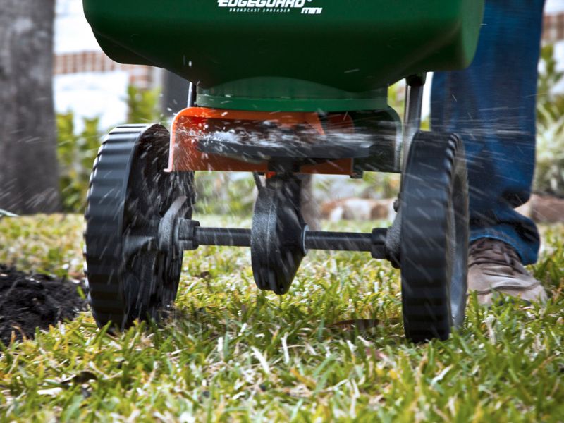 Fall Feeding Builds Stronger And Healthier Lawns