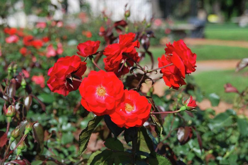 A Second Generation Can Make Things Worse Later On