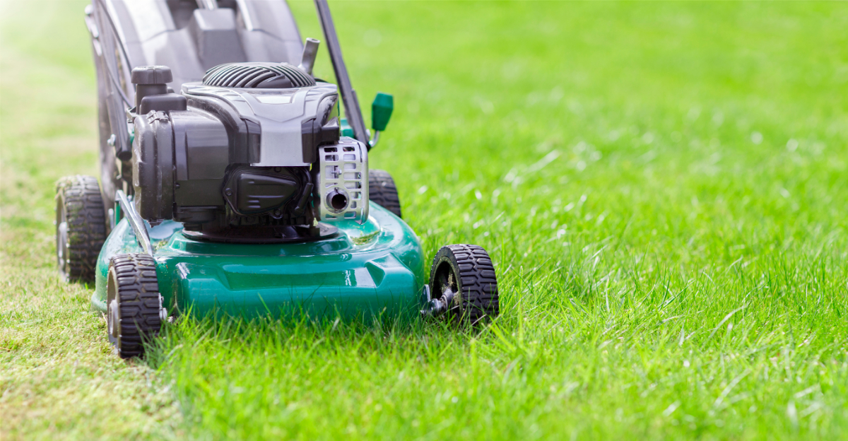Spring Lawn Care Tips For North Texas Homeowners